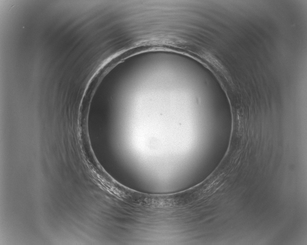 X0000055061020200508161640.png