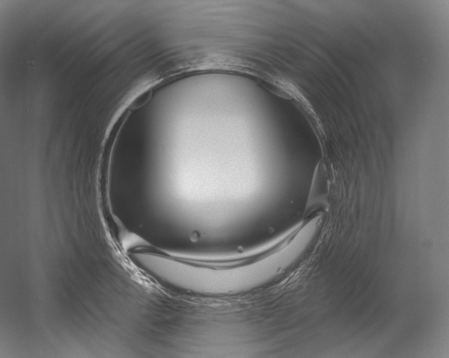 X0000055211138200508301315.png