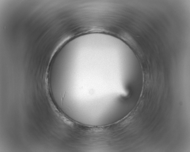 X0000054331190200508111911.png