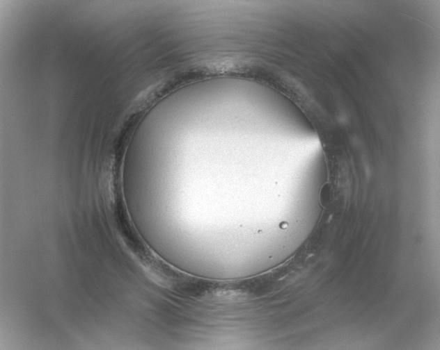 X0000054330590200508111921.png