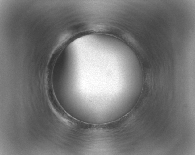 X0000054330730200508111918.png