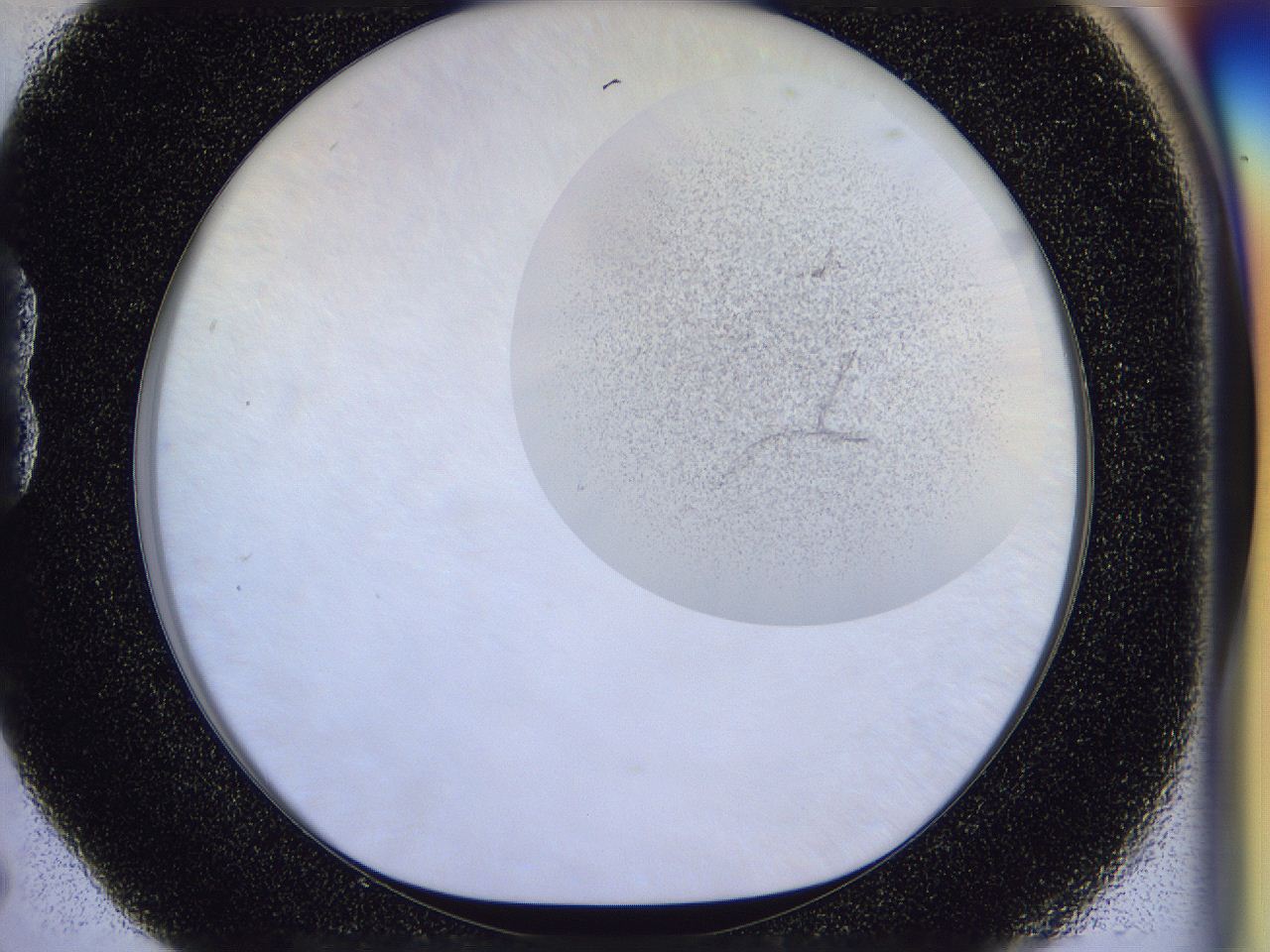 056j_B5_ImagerDefaults_2.jpg