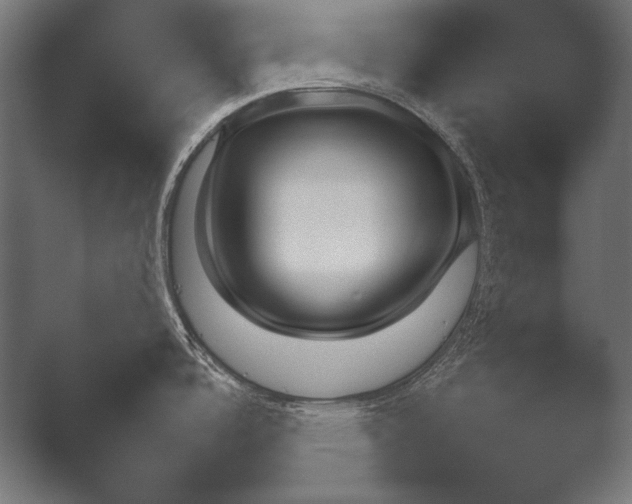 X0000051111488200507141743.png