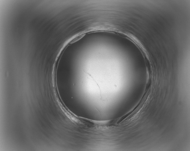 X0000055061246200508161637.png