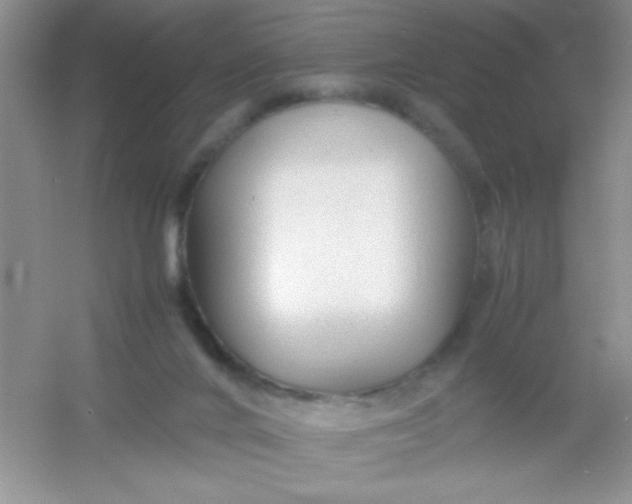 X0000054330024200508111931.png