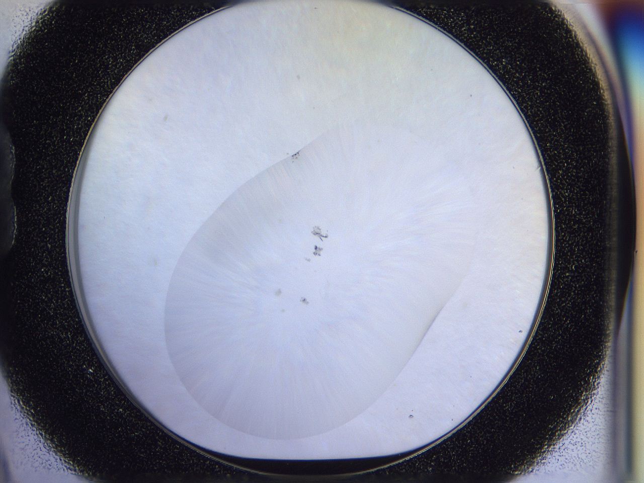 056j_B9_ImagerDefaults_1.jpg