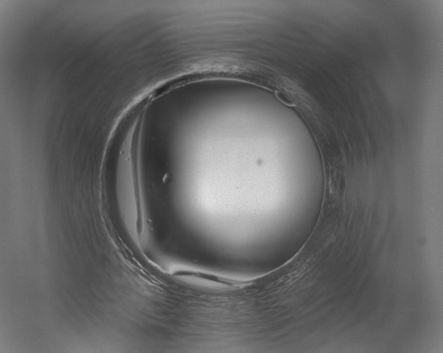 X0000055210388200508301327.png