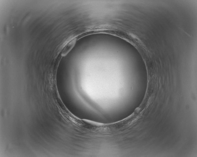 X0000055061457200508161633.png