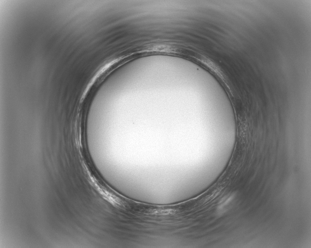 X0000054351131200508190121.png
