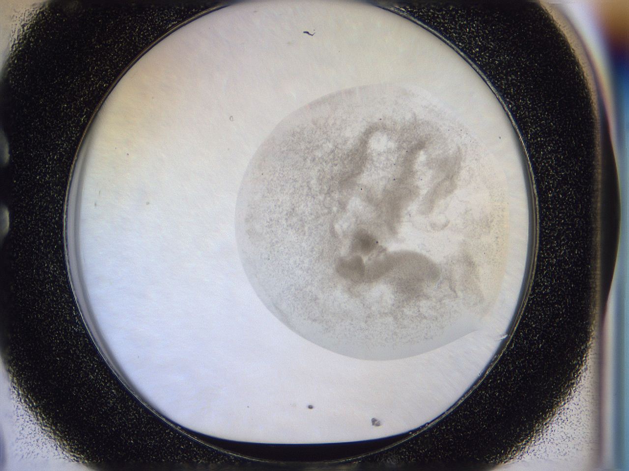 056j_C8_ImagerDefaults_3.jpg