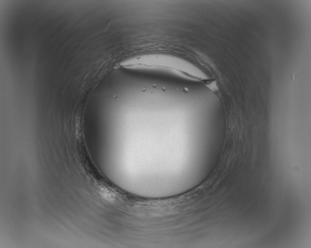 X0000055210025200508301333.png