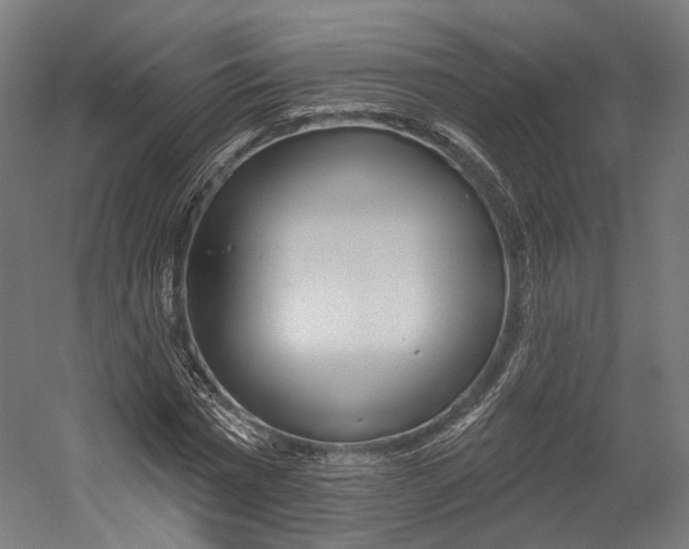 X0000055210777200508301321.png
