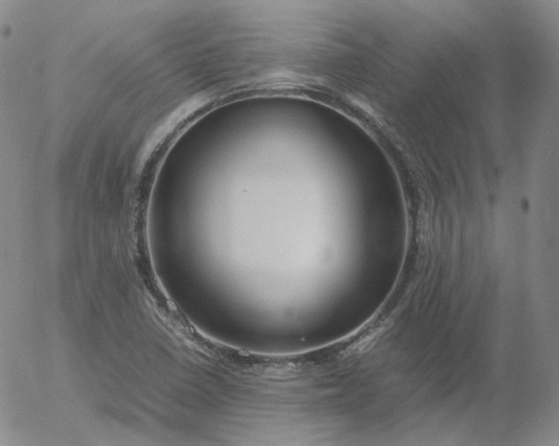 X0000054651410200508091630.png
