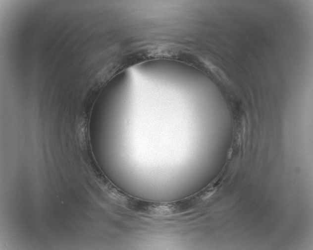 X0000054330513200508111922.png