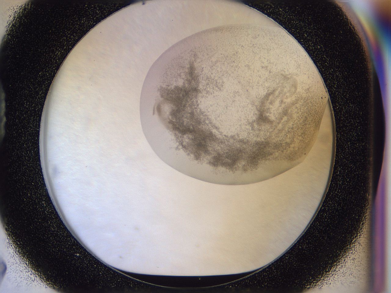 056j_D7_ImagerDefaults_3.jpg