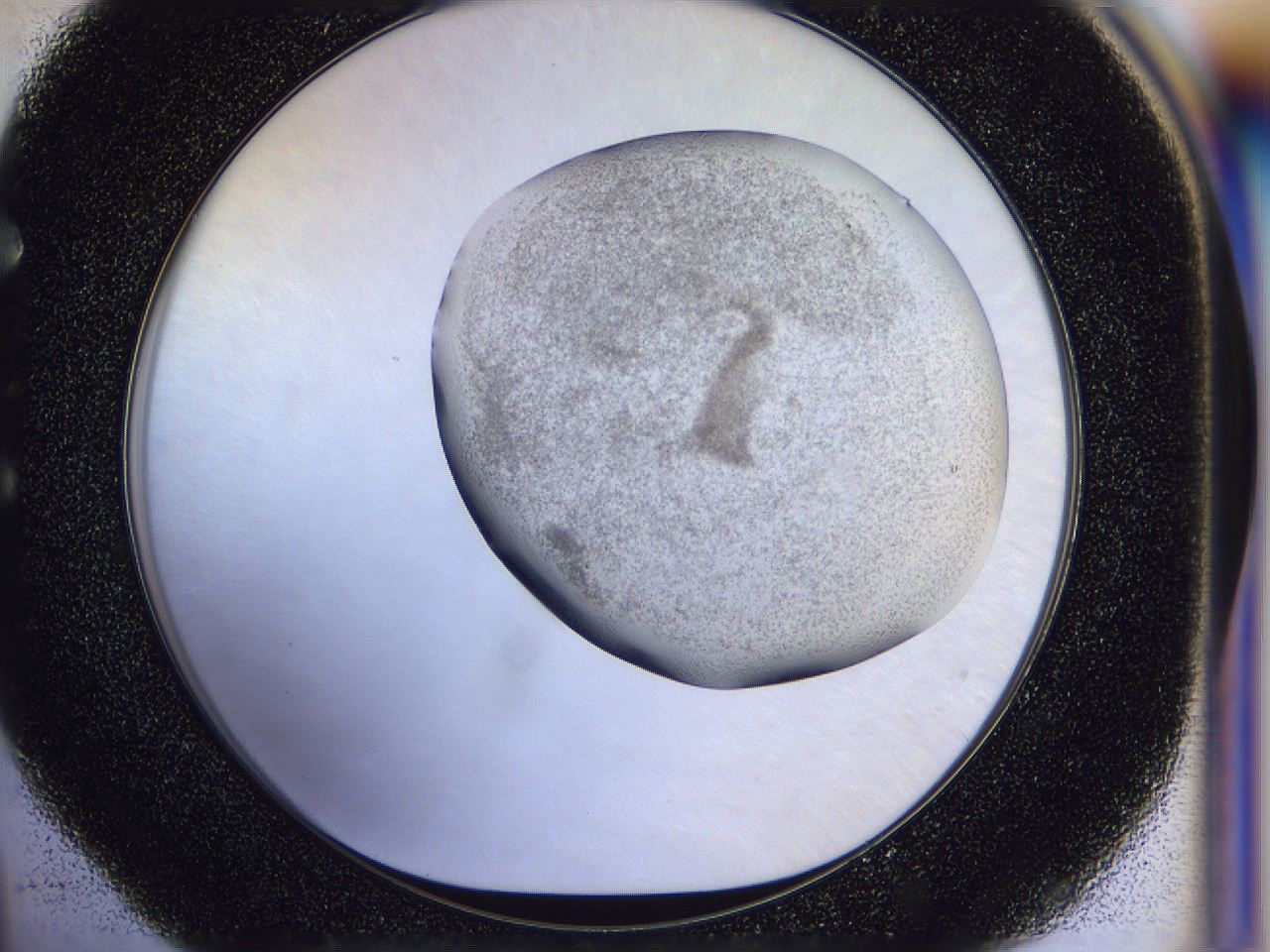 056j_E4_ImagerDefaults_3.jpg