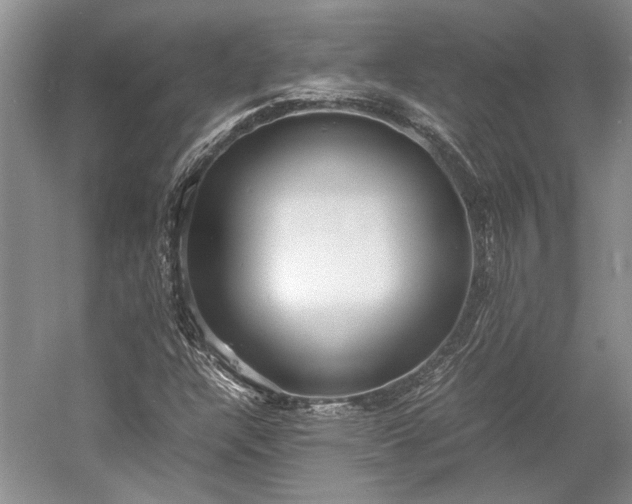 X0000055061304200508161635.png