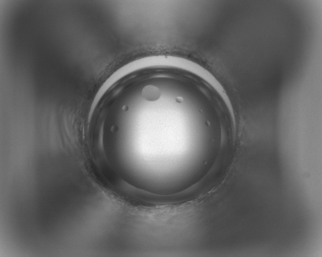 X0000052150021200507052003.png