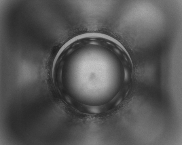 X0000047470311200503091606.png