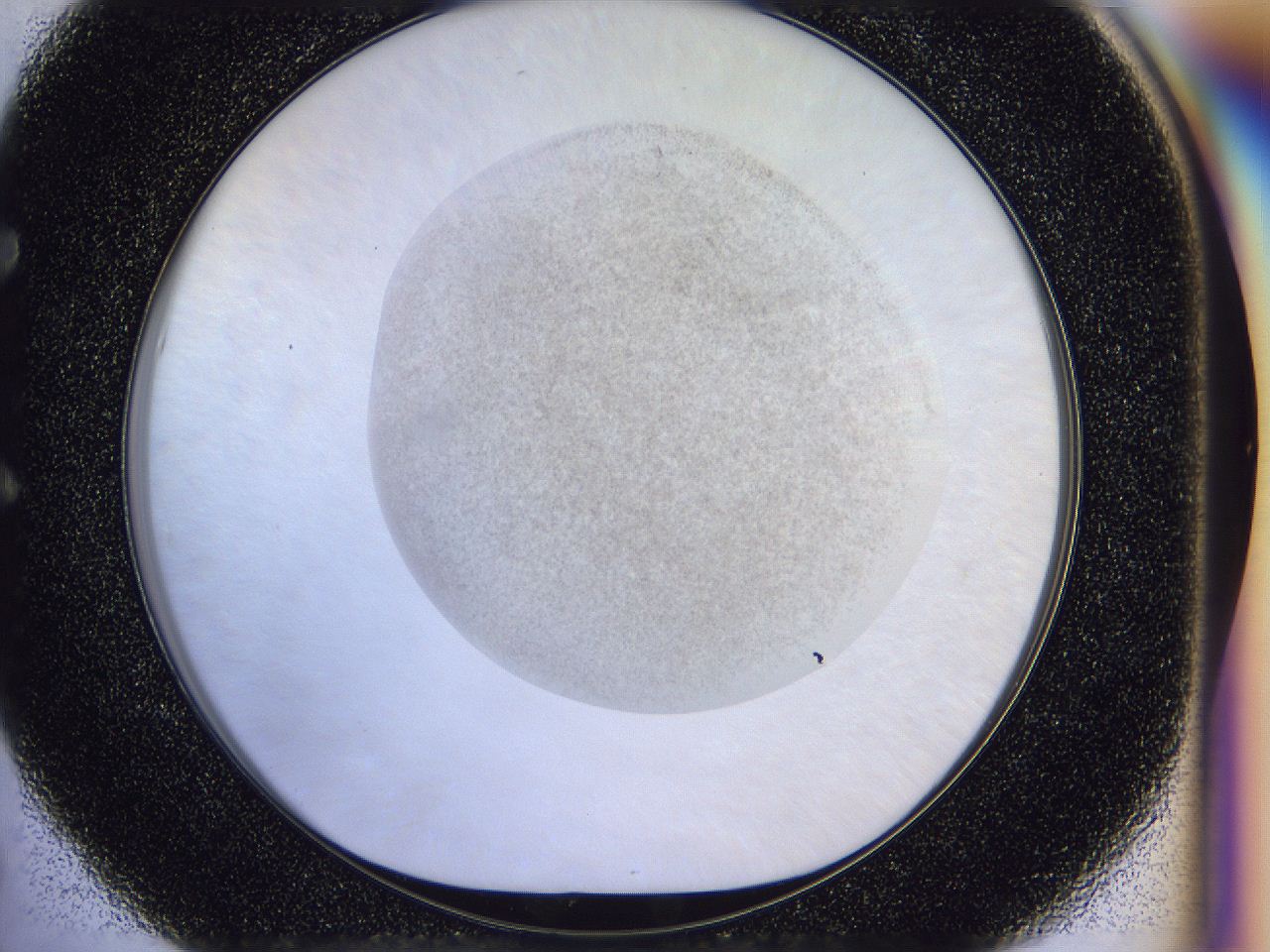 056j_E5_ImagerDefaults_2.jpg