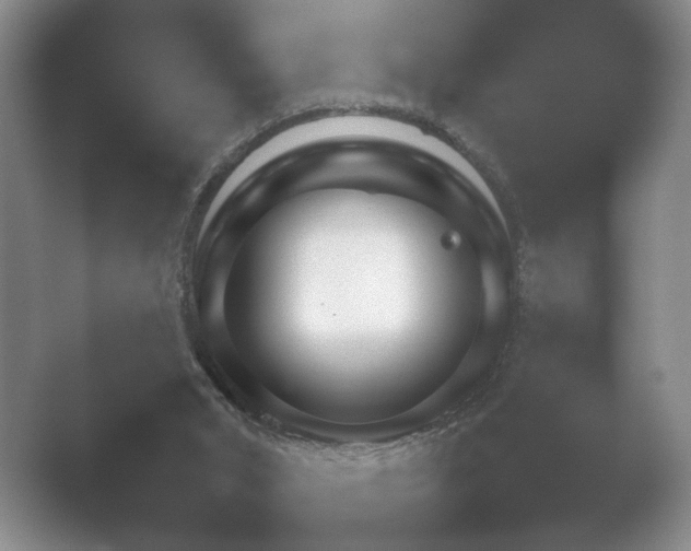 X0000052150015200507052003.png