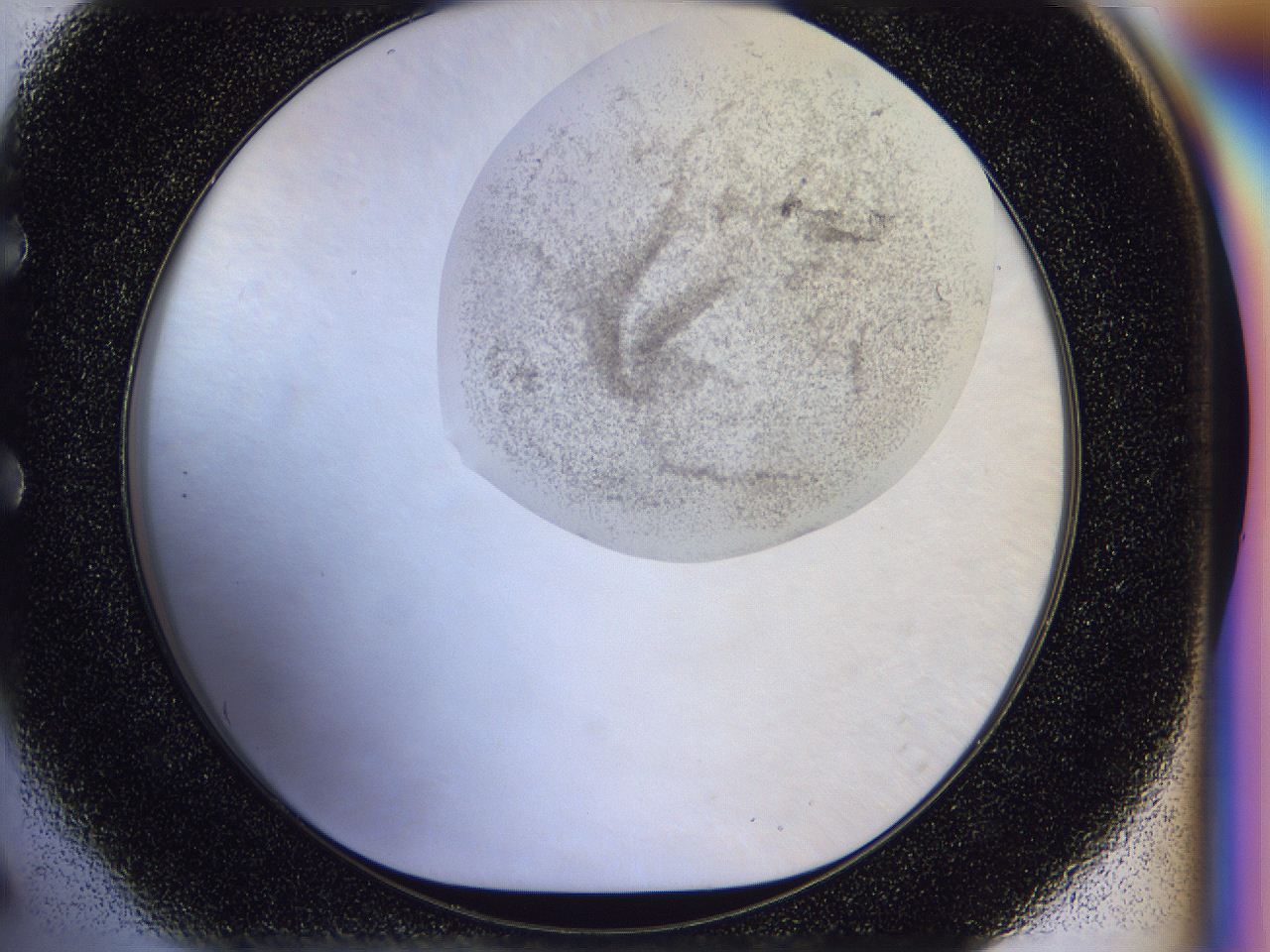 056j_E6_ImagerDefaults_3.jpg