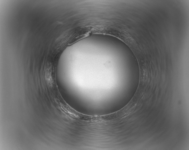 X0000055061250200508161636.png