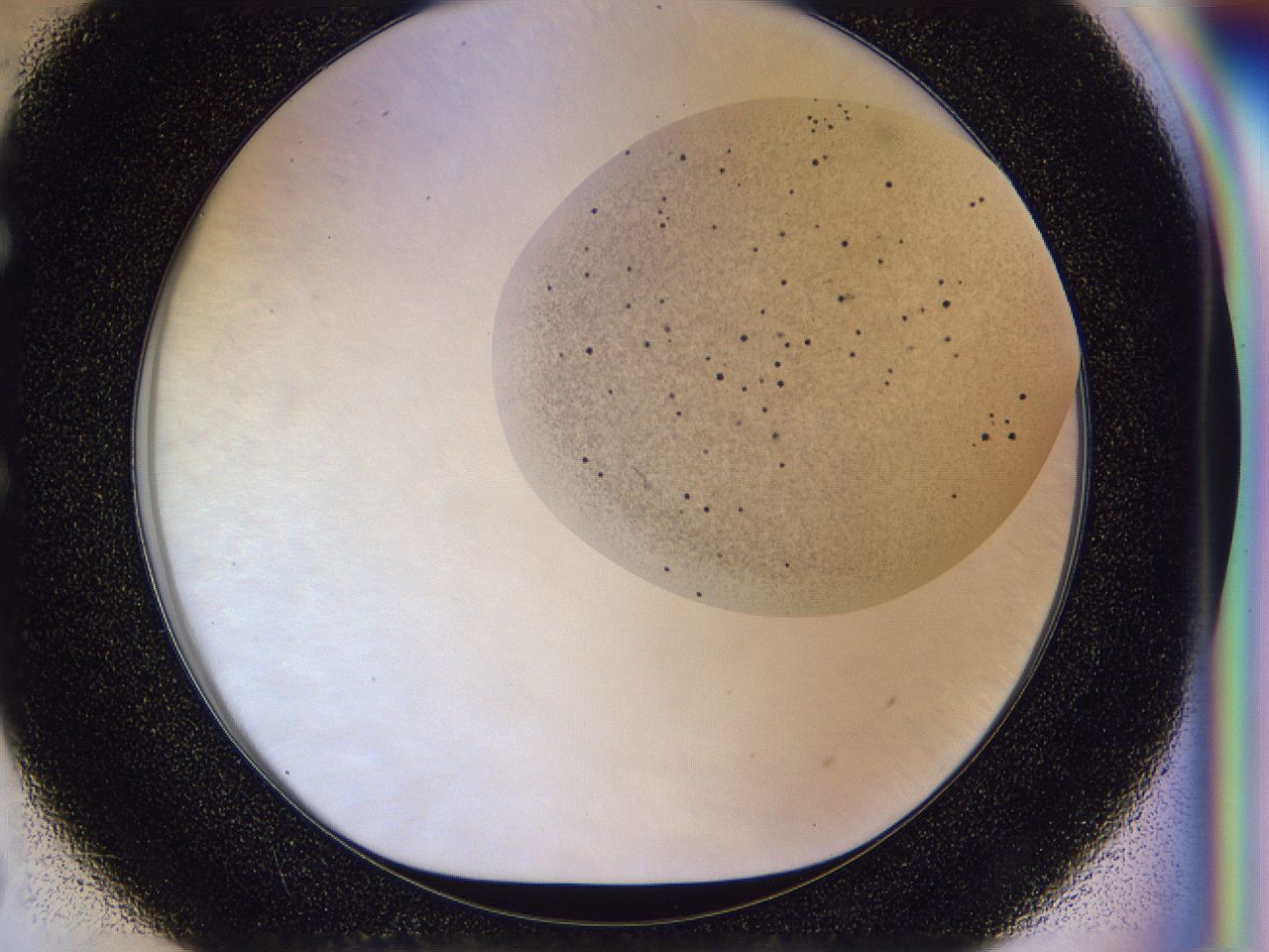 056j_E7_ImagerDefaults_6.jpg