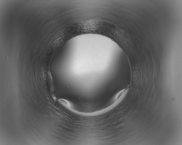 X0000055210608200508301323.png