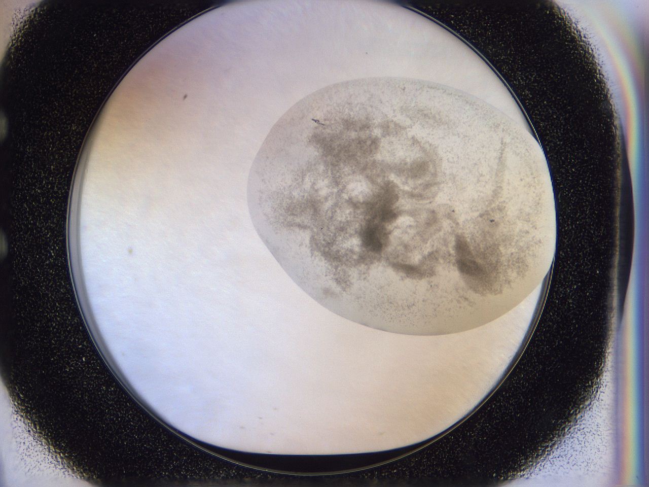 056j_E9_ImagerDefaults_3.jpg