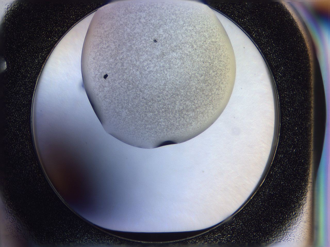 056j_F4_ImagerDefaults_3.jpg
