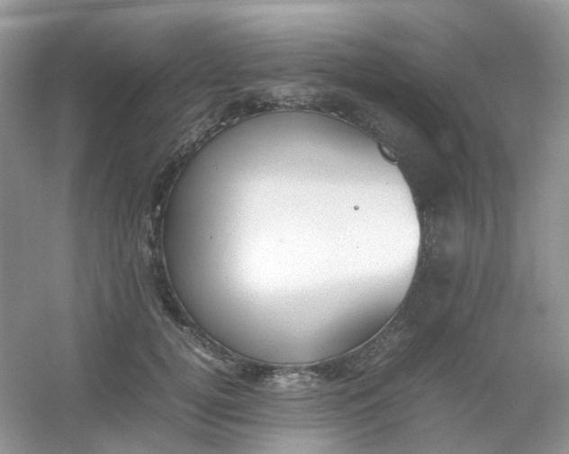 X0000054330752200508111919.png