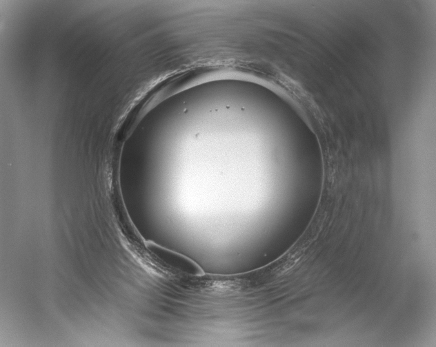 X0000055060060200508161656.png