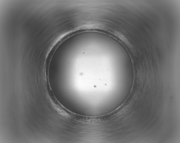 X0000054330934200508111915.png