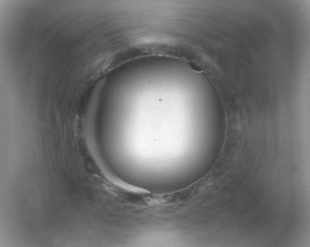 X0000054330965200508111915.png