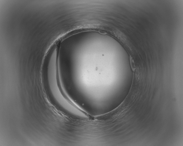 X0000055210676200508301322.png