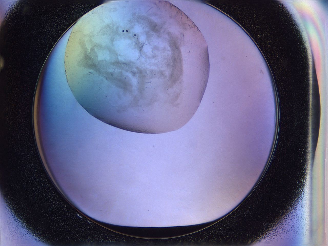 056j_F8_ImagerDefaults_3.jpg