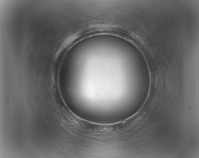 X0000055061261200508161636.png