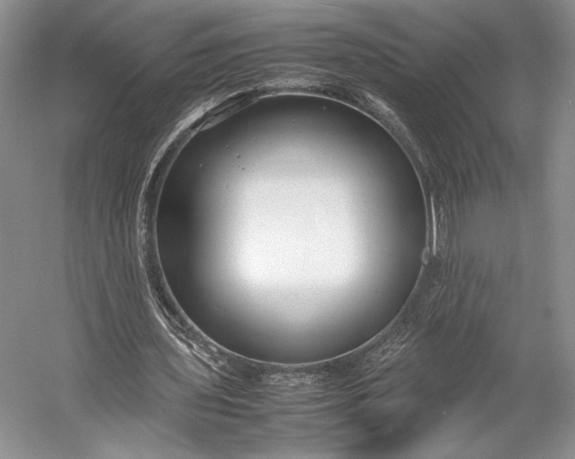 X0000055060435200508161650.png