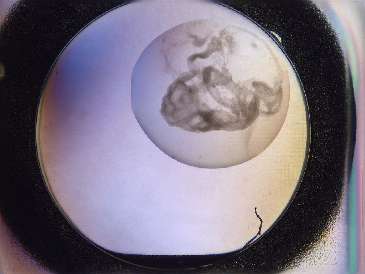 056j_F9_ImagerDefaults_3.jpg