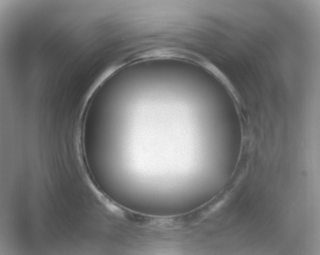 X0000054330909200508111916.png