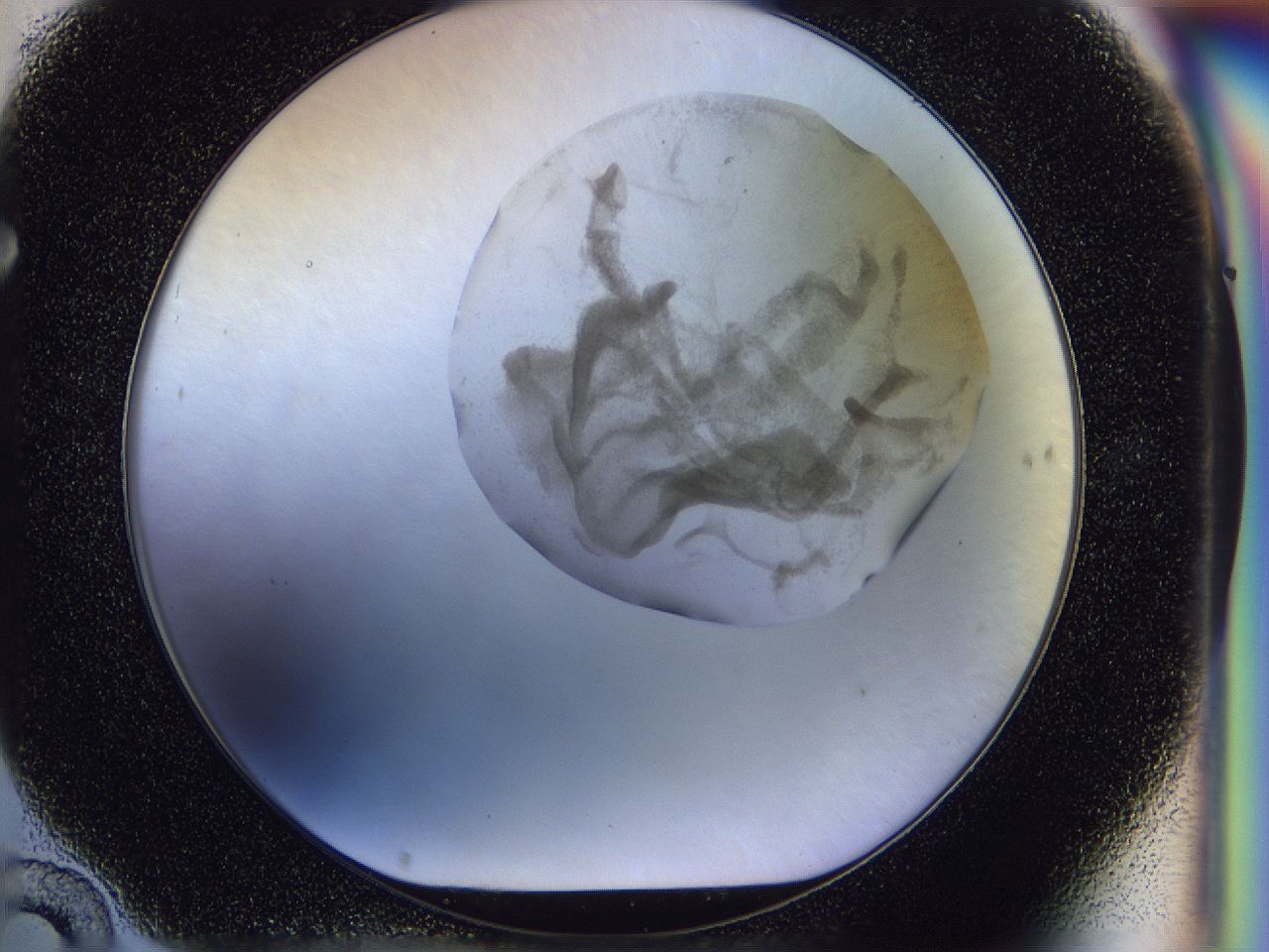 056j_F10_ImagerDefaults_3.jpg