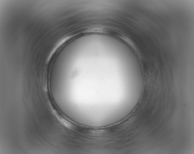 X0000054331131200508111912.png