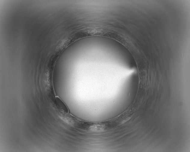 X0000054330700200508111919.png