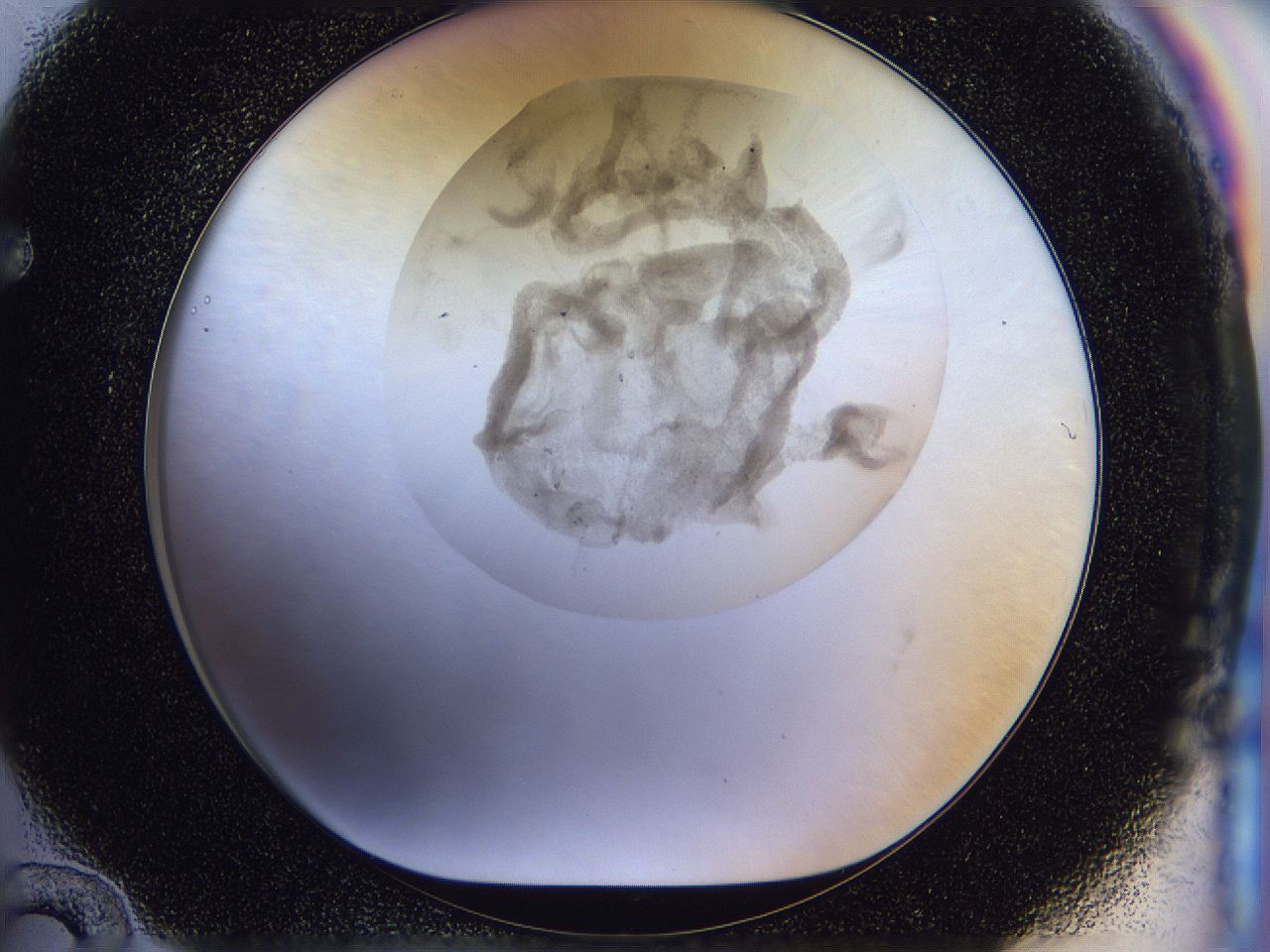 056j_F12_ImagerDefaults_3.jpg