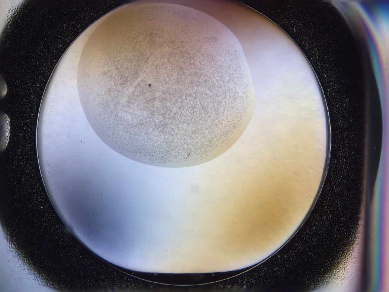 056j_G1_ImagerDefaults_2.jpg