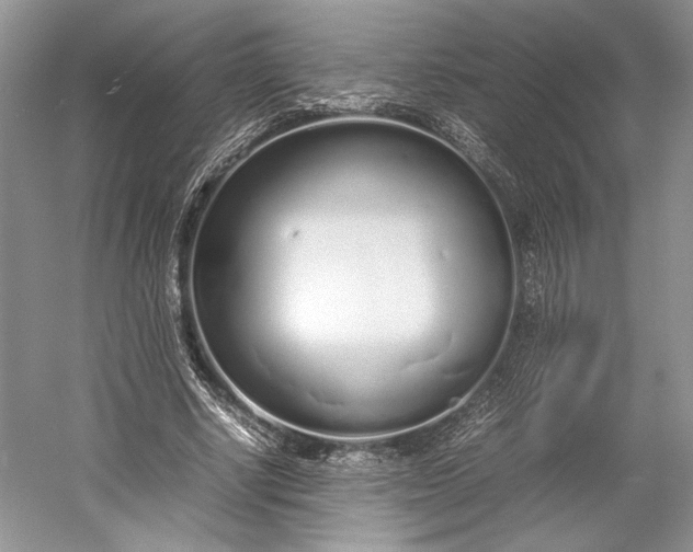 X0000055060634200508161646.png