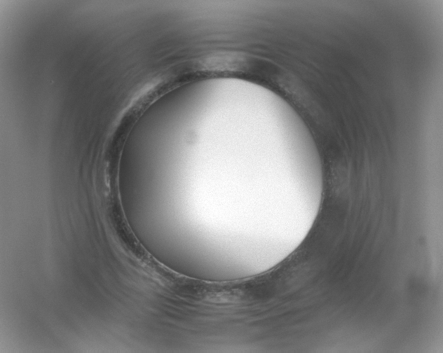 X0000054330731200508111918.png