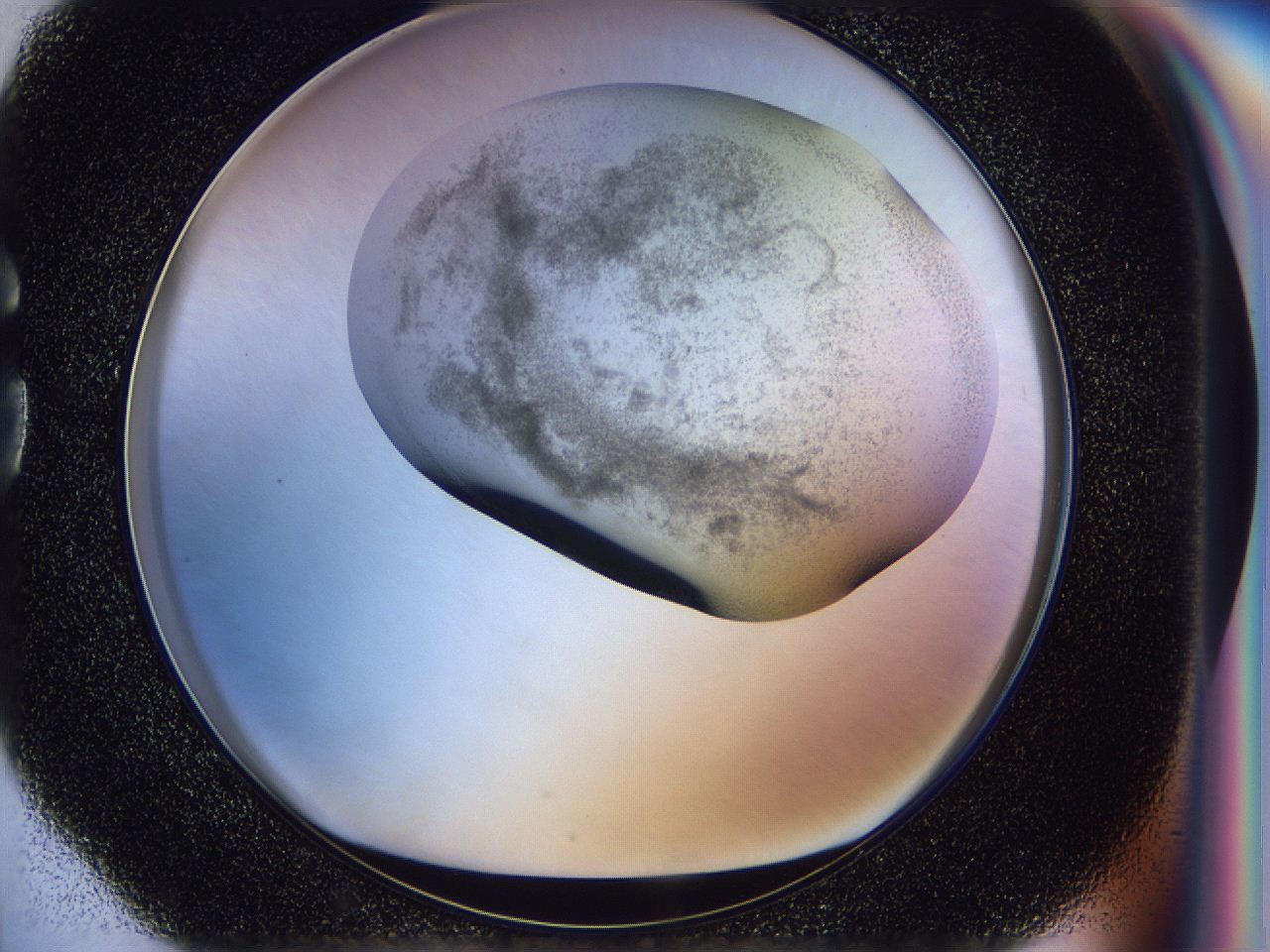 056j_G4_ImagerDefaults_3.jpg
