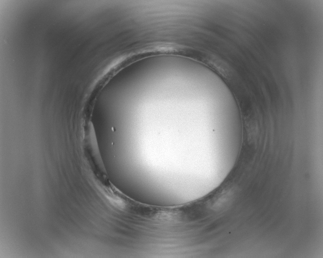 X0000054330350200508111925.png